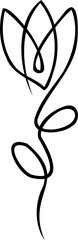 Continuous line drawing. Line art floral concept design. Flower drawing with single continuous line. Flower silhouette contour drawing with black thin line transparent background.
