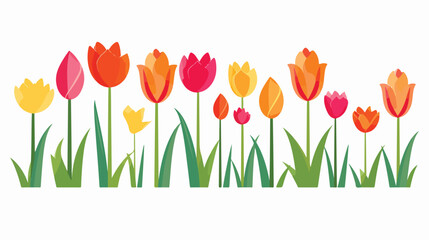 Tulip vector flowers .First spring flowers. Simple