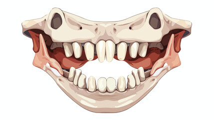 Lower jaw isolated. Bones face flat vector