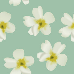 Realistic Primrose Flower Seamless Pattern. Spring Blossom Floral Background.