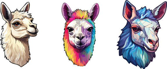Llama, alpaca and llama heads. Vector illustration.