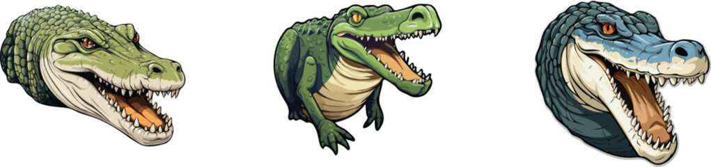 Crocodile set. Vector illustration of a crocodile.