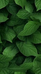 Tilable Leaves Texture