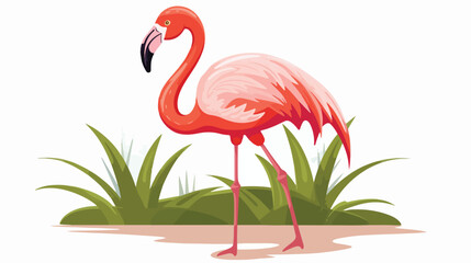 Pink flamingo bird flat  flat vector isolated on white background 
