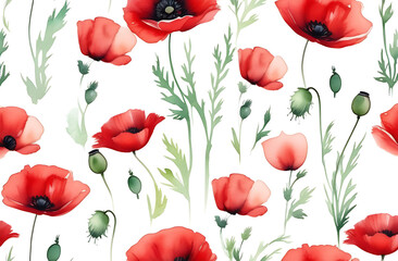 Beautiful red poppies on a white background, vintage watercolor drawing.
