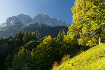 Waxenstein, Wettersteingebirge, Obergrainau, Grainau, Werdenfelser Land, Bayern, Deutschland
