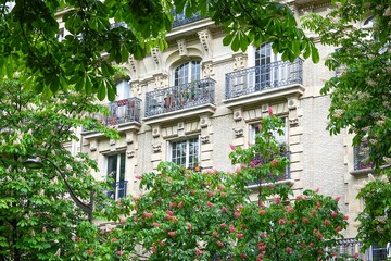 Fototapeta na wymiar Vue sur des marronniers en fleurs devant un bel immeuble 