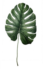 Green leaf clipart in retro style. Vintage botanical illustration on isolated background. Generative AI