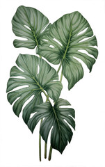 Green leaf clipart in retro style. Vintage botanical illustration on isolated background. Generative AI