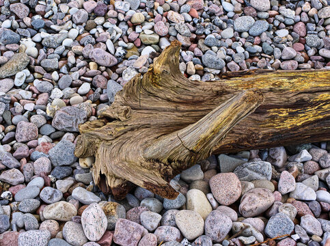 Baumstamm als Strandgut.