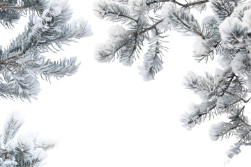 Isolated Frost-Covered Pine Branch Photo Frame on Transparent Background