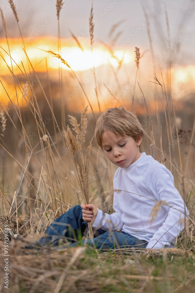 Poster Adorable little child, boy, holding fild flowers in park on autumn day, sunset