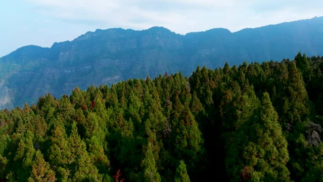 Aerial  view of mountain range Alishan,Taiwan.