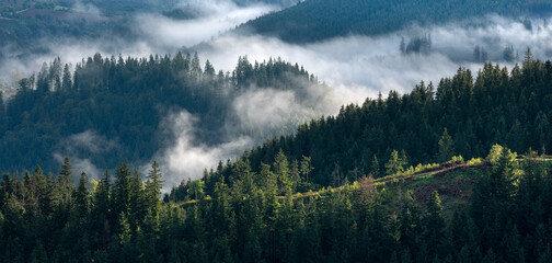 Panoramic view over forests with morning fog