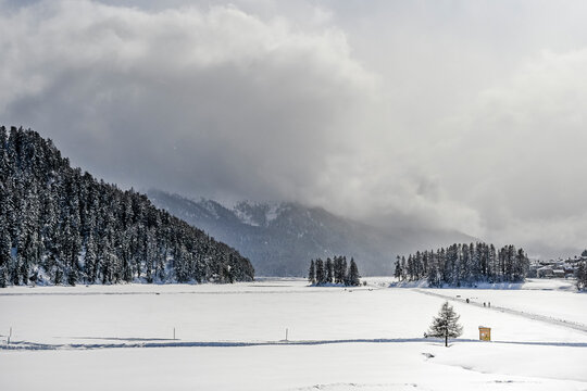 Silvaplana, Champf&egrave;r, lej da Champf&egrave;re, Silvaplanersee, Seenplatte, Winter, Wintersport, Winterlandschaft, Wanderweg, Langlauf, Loipe, Alpen, Oberengadin, Graub&uuml;nden, Schweiz