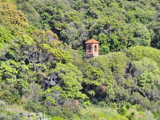 Petite tour dans la verdure au Parc national de Port-Cros avec mer et montagne - obrazy, fototapety, plakaty