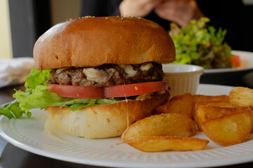 hamburger with fries on the plate