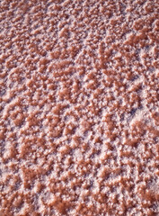 Salty surface. Henichesk lake in Ukraine.