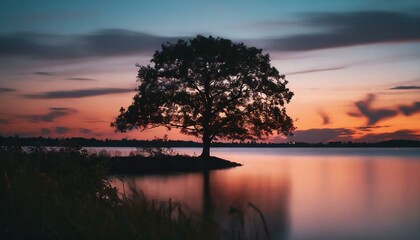 silhouette of tree near body of water during beautiful sunset - Powered by Adobe