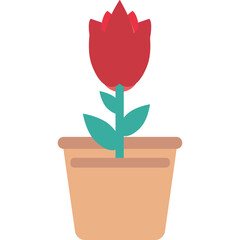 Tulip Bud