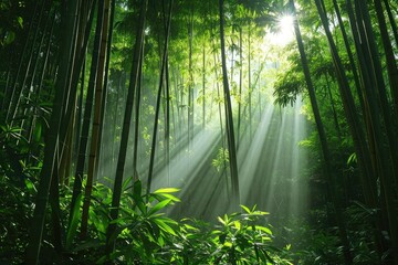 A serene and captivating scene of sunlight filtering through the lush green bamboo trees in a...