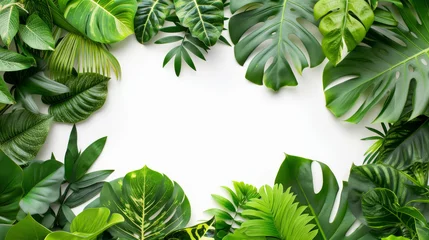Foto op Aluminium Tropical Leaf Border with White Center Space, An elegant frame composed of various tropical leaves with a central white space for design versatility. © petrrgoskov