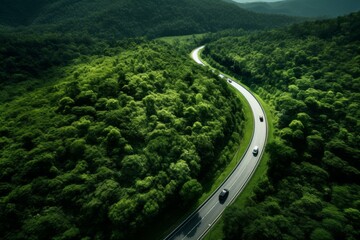 a highway winding through a dense nut tree forest