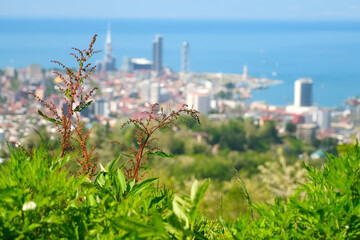 Nature background of Batumi city and Black sea from mountain in sunny day. Blur view of modern coastal town in Georgia. Travel, tourism, vacation, wanderlust concept. Beautiful breathtaking view.