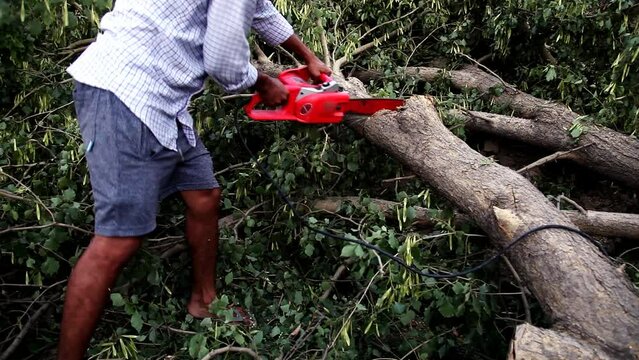 Unrecognizable person cutting fallen tree using chainsaw outdoor in nature.