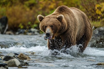 A breathtaking sight, a large brown bear gracefully making its way across the river in its natural habitat, A grizzly bear on a riverside, sharply catching a fish in its mouth, AI Generated