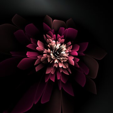 Dark fractal flower, digital artwork for creative graphic design...Fractal pattern in the shape of flowers on a black background.Abstract fractal template.