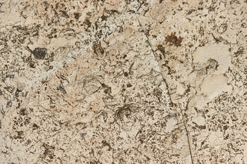 texture and pattern of stone as background.