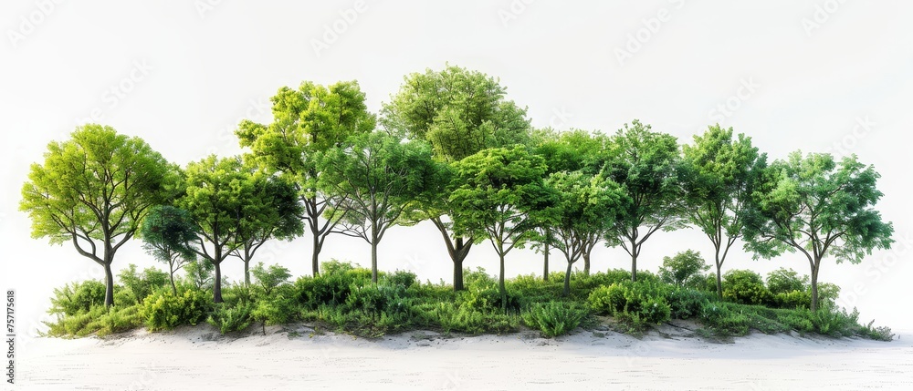 Poster row of green trees and shrubs isolated on white background. summer forest with foliage.
