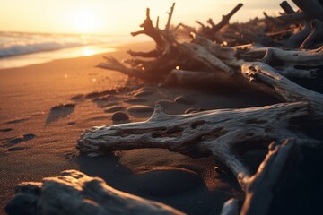 a beach with driftwood scattered across the sand, illuminated by the light of the setting sun