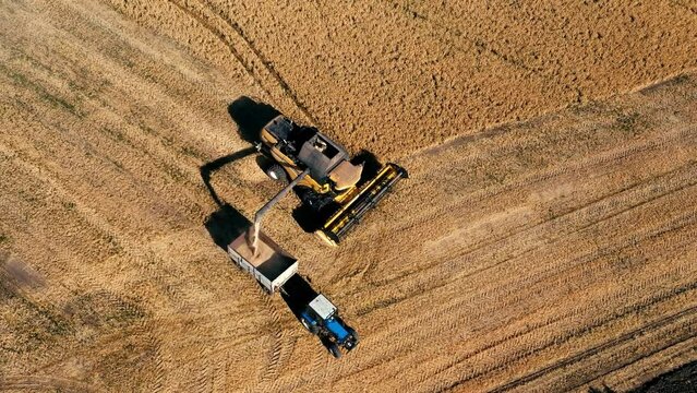 Aerial photograph of a combine harvester, tractor working on a field. Agricultural machinery works on farmland during harvesting. Agriculture concept. View from above
