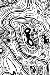 Visually striking black and white abstract piece resembling the fluidity of a topographic map