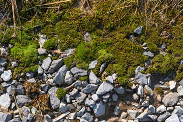 Outdoors late winter early spring copy space background image