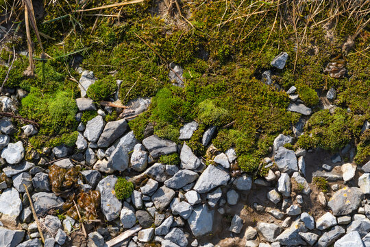 Outdoors late winter early spring copy space background image