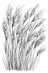 Detailed pencil sketch showing the gentle sway of wheat stalks in a breeze, capturing the essence of a natural scene