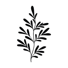 black silhouette of a plant, isolated on a white background
