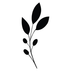 black silhouette of a plant, isolated on a white background