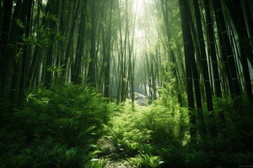 Fototapeta na wymiar A bamboo forest with its tall, thin stalks and lush green leaves