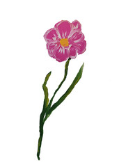 pink and green flower painted baby petals,stems