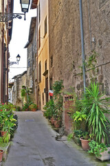 Fototapeta na wymiar Vitorchiano, strade, vicoli, piazze e case della città medievale - Viterbo, Tuscia Lazio 