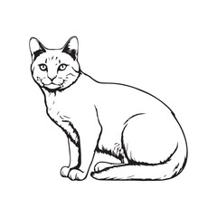 Cat Animal drawing art design vector