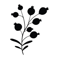 black silhouette of a plant, isolated on a white background