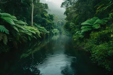 Fotobehang A calm river winds its way through a dense forest filled with vibrant green foliage, A quiet river meandering through a thick rainforest, AI Generated © Iftikhar alam