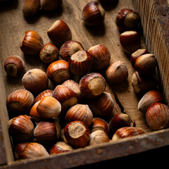 hazelnuts in a box