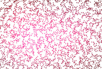 Light Pink vector backdrop with dots.