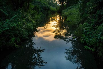 A winding river courses through a dense, green forest teeming with life, A rainforest river reflecting the sky at dusk, AI Generated